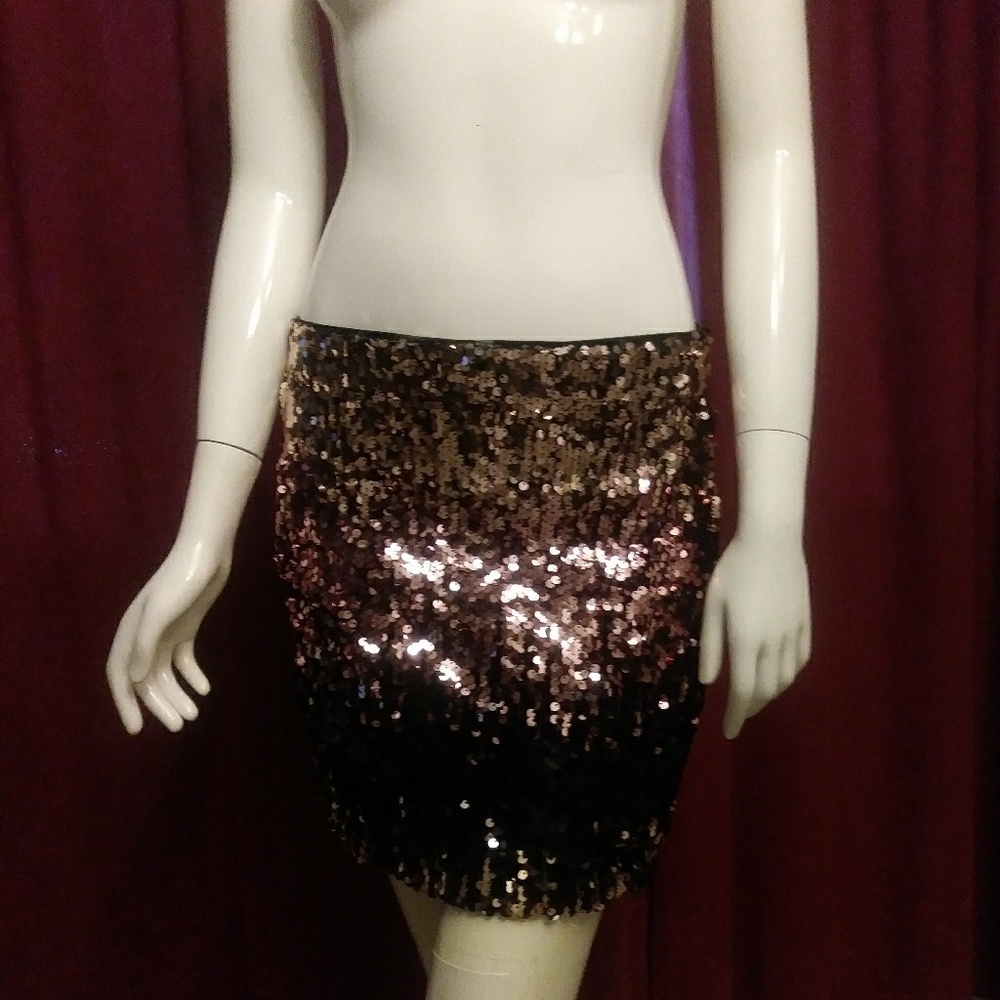 Sequin Skirt